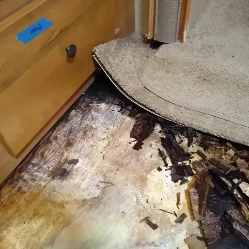 Wood Floor Water Damage in Winfield, NJ